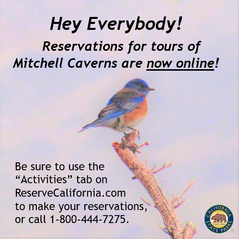 Reservations for Mitchell Caverns tours now online!